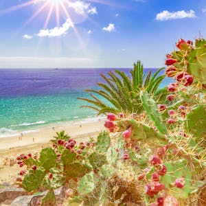 Fuerteventura Kanaren Spanien 