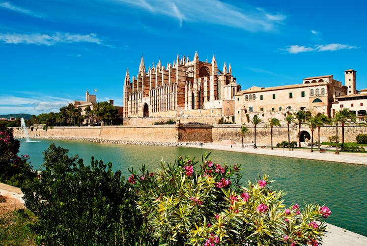 Blick auf die Kathedrale in Palma de Mallorca 