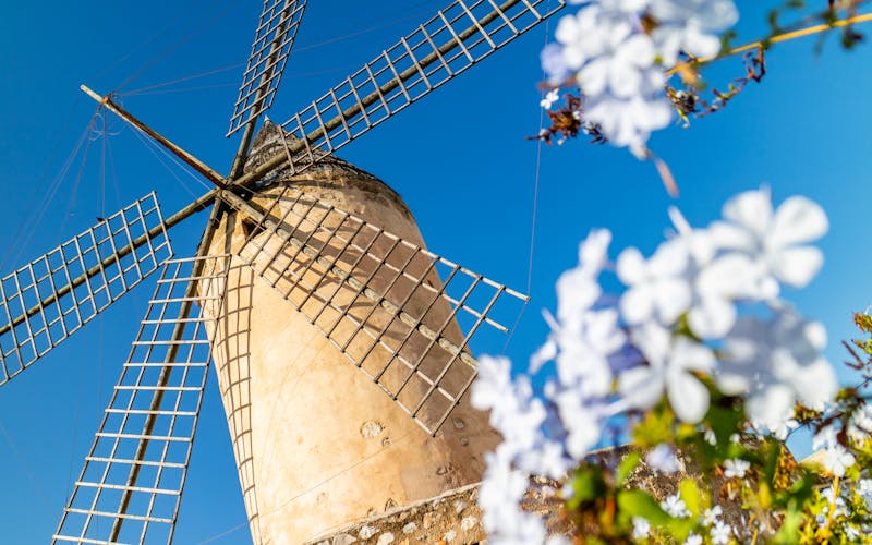 Windmühle in Palme de Mallorca 
