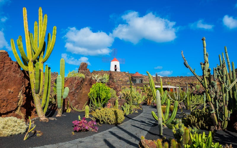 Lanzarote mit Blick auf den Kaktusgarten 
