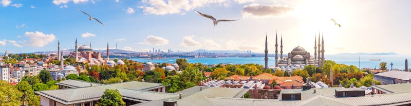 Q:\Destinationen\Türkei\Istanbul\Istanbul_Panorama_AdobeStock_299027149 © AlexAnton_abo.jpeg