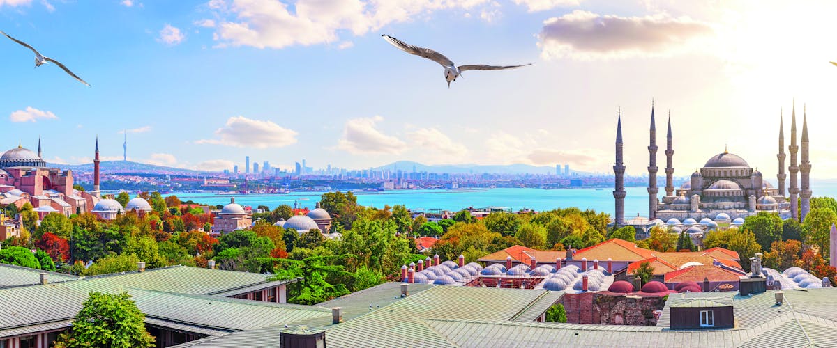 Panoramablick Istanbul AdobeStock_299027149 © AlexAnton_abo_pso