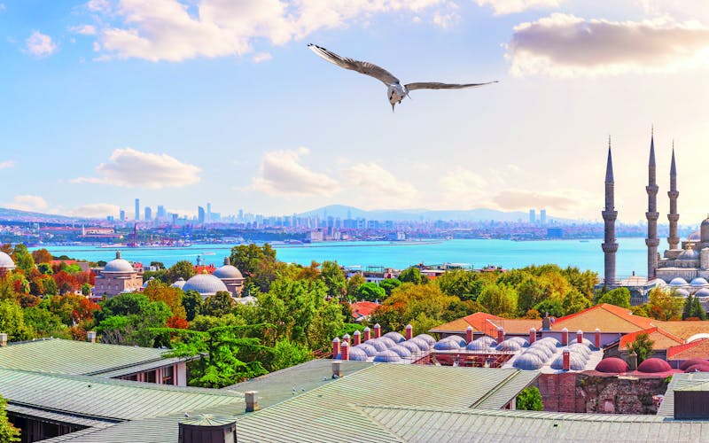 Q:\Destinationen\Türkei\Istanbul\Istanbul_Panorama_AdobeStock_299027149 © AlexAnton_abo_pso.tif