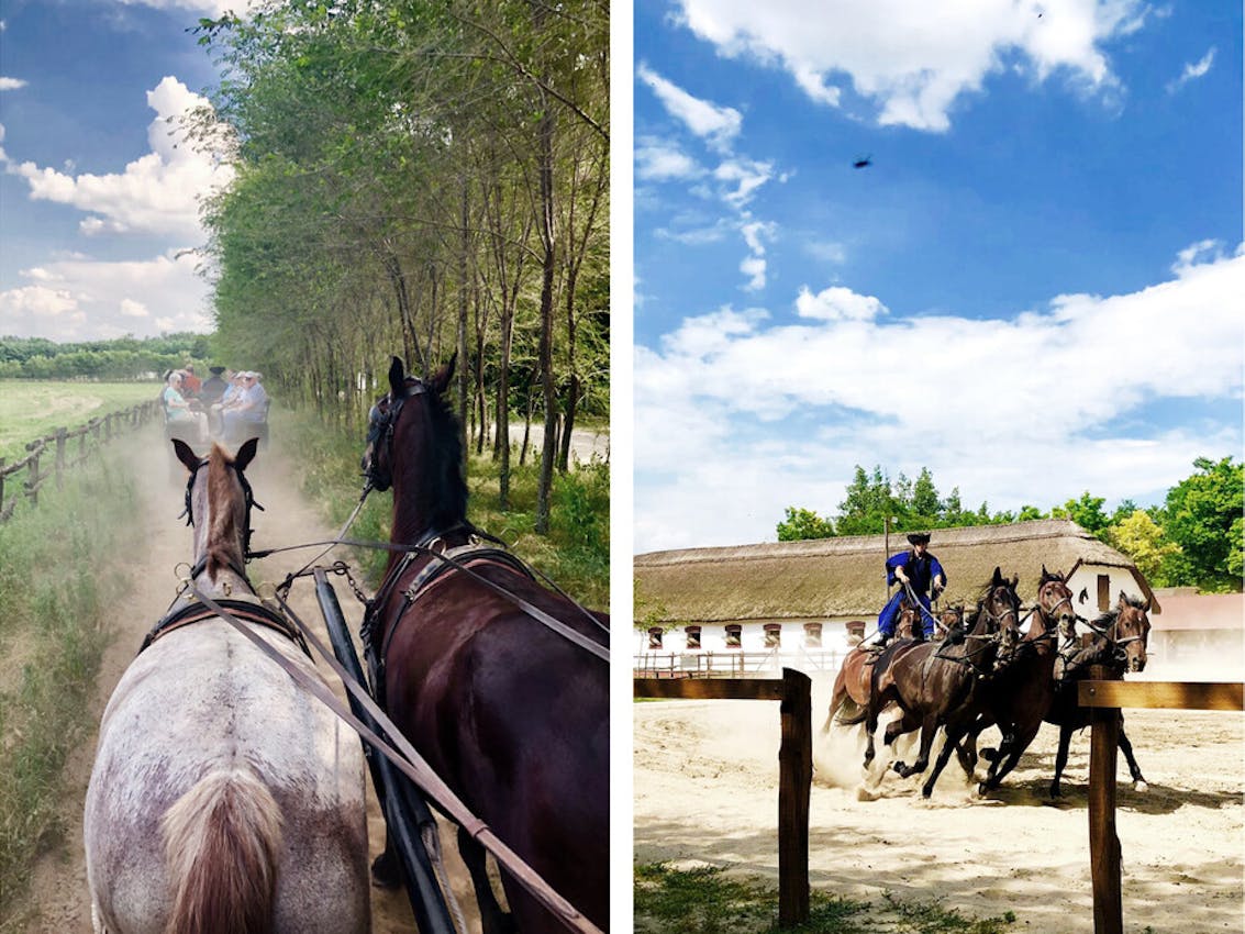 Kutschfahrt und Reiterspiele in der Puszta, Ungarn