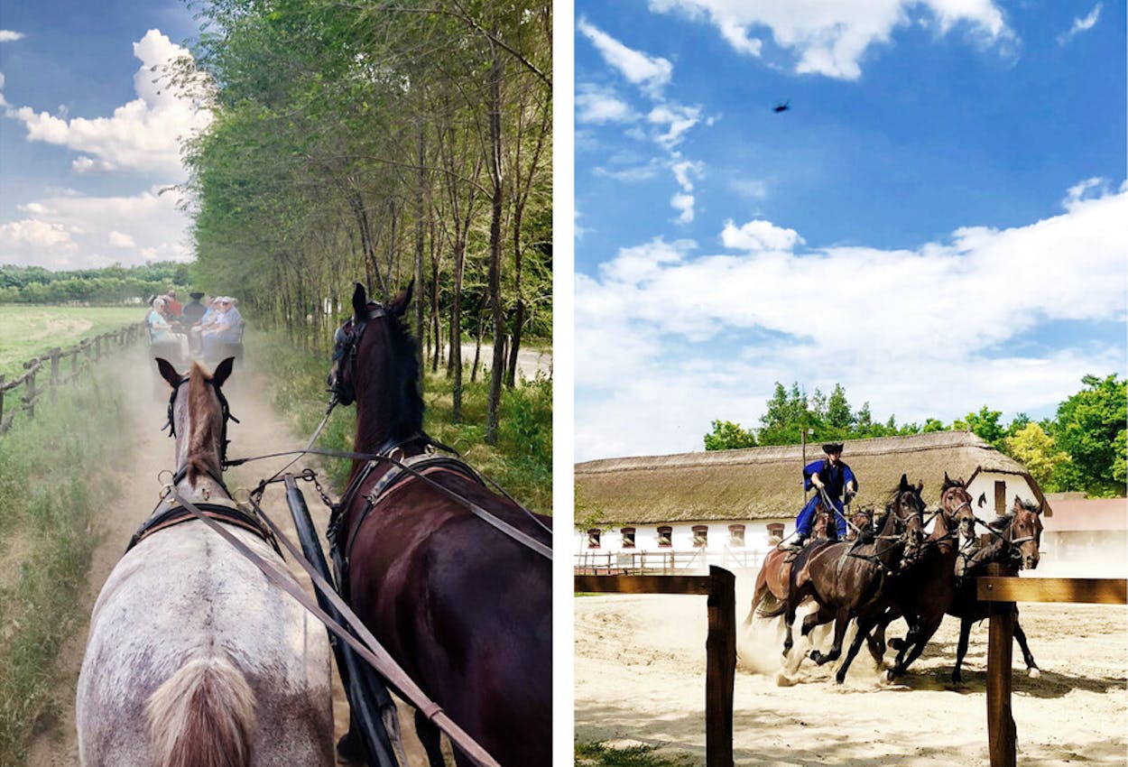 Kutschfahrt und Reiterspiele in der Puszta, Ungarn