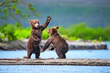 Alaska und Kanada - Aleuten, Bären und die Inside Passage
