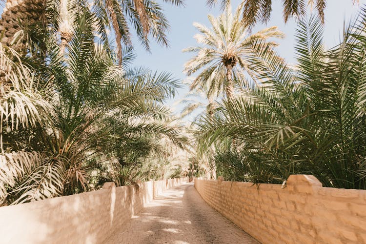 Gartenstadt Al Ain Abu Dhabi