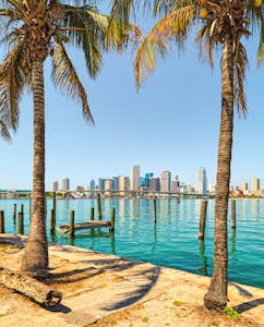 Blick auf Miami 
