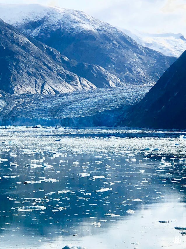 Einmalig - die Gletscher der Holkham Bay