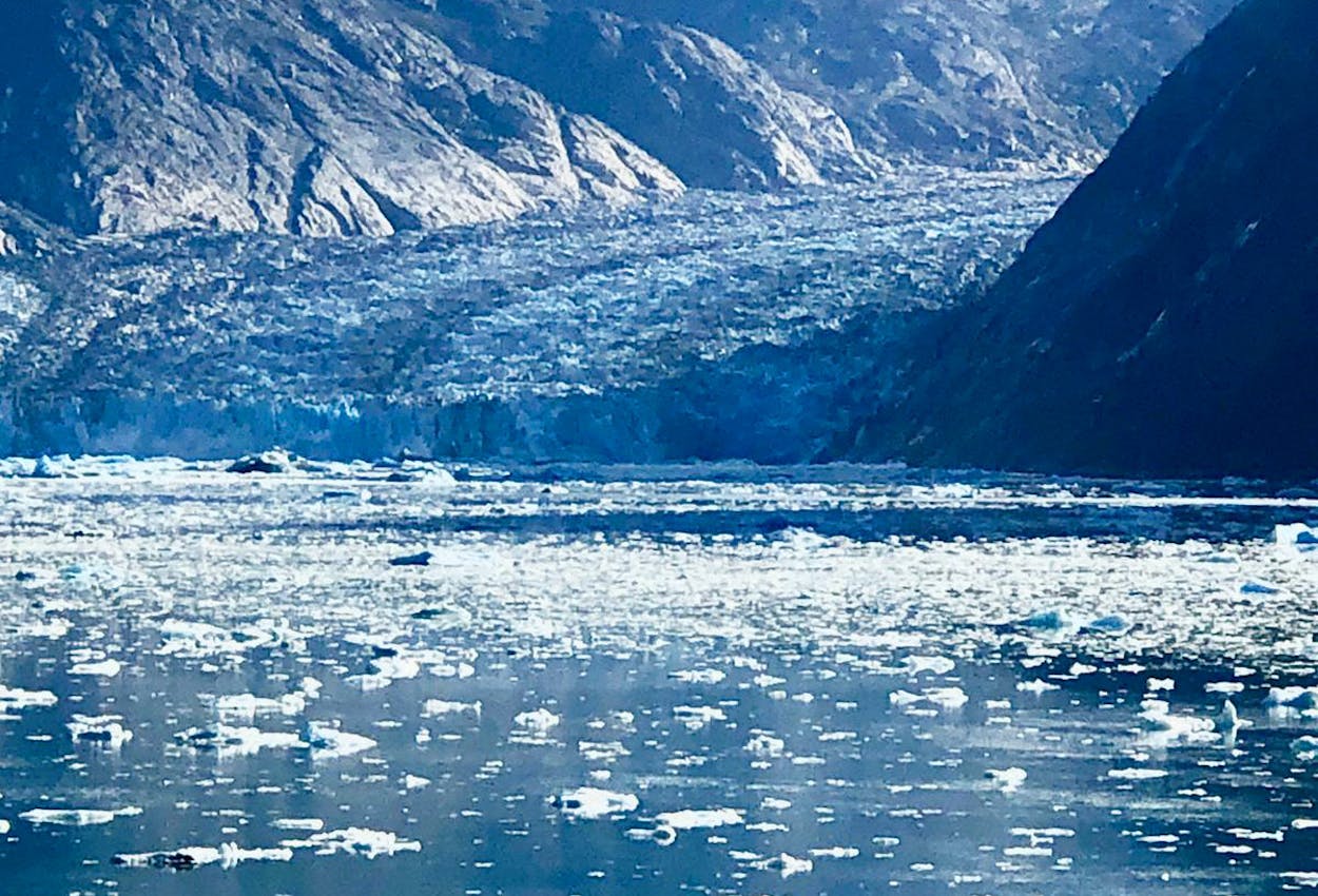 Einmalig - die Gletscher der Holkham Bay