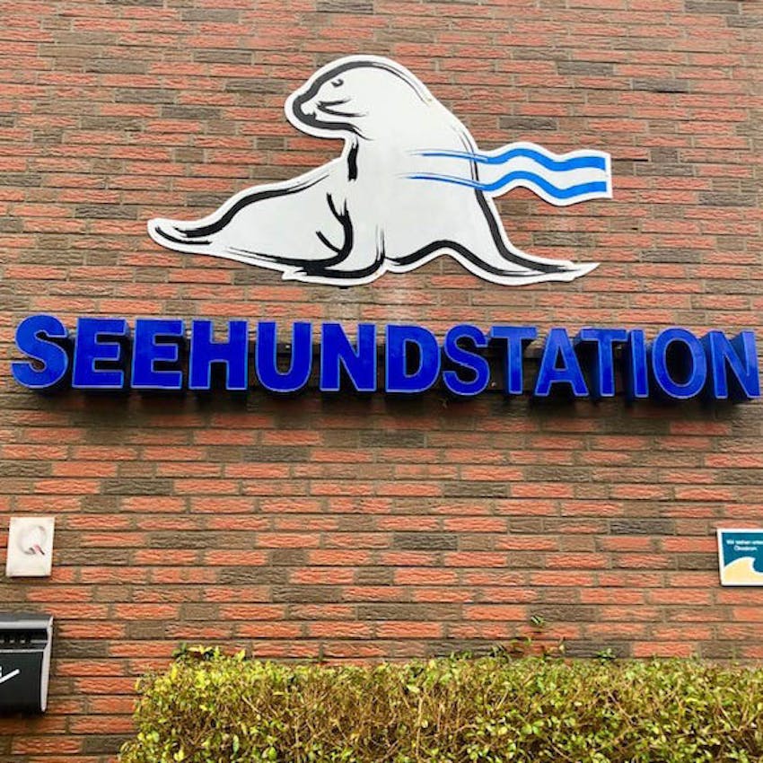 Seehundstation