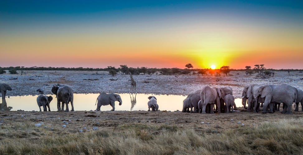 Elefanten Afrika Safari African Explorer Lernidee