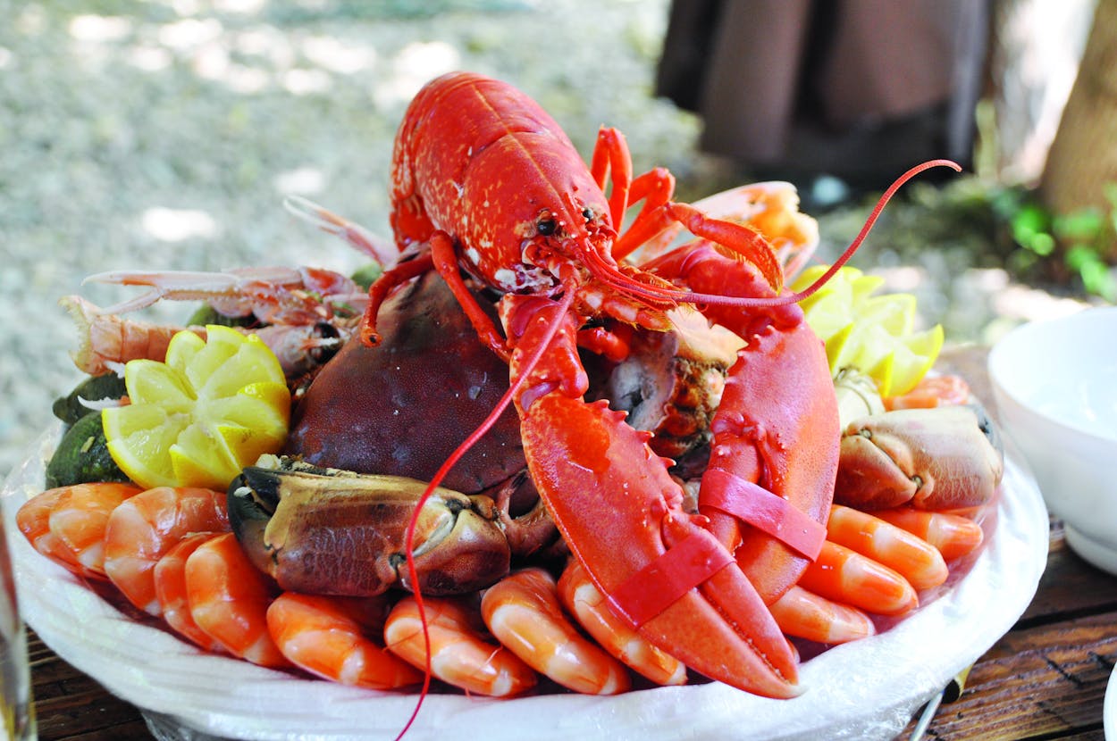 Seafood-Platte mit Hummer und Krabbe