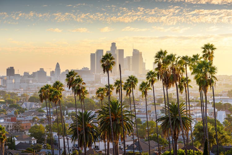 Los Angeles mit Palmen