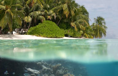 Unterwasserwelt und über Wasser Palmen