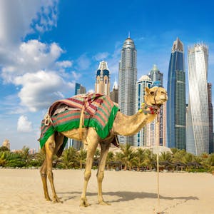 Skyline Dubai_AdobeStock_220340699©Sergii Figurnyi_mehrhimmel (2)