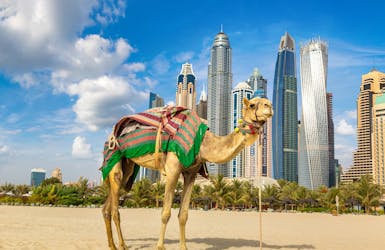 Costa All inclusive - Dubai & die Emirate